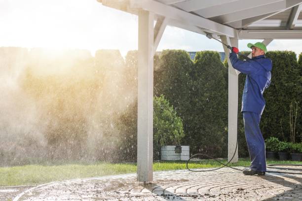 Trusted Magnolia, MS Pressure Washing Services Experts